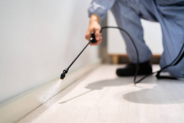 Licensed Termite Control service in Orland Hills, IL - Show Me Pest Control