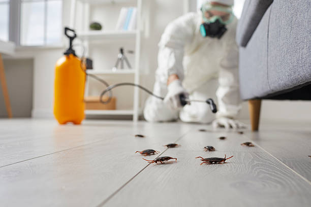 Commercial Kitchen Cockroach Control in Orland Hills